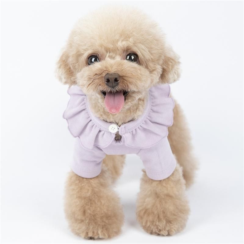 bomba Médula Pegajoso Ropa para perros Pequeñas mascotas Ropa Simple Ingin Chihuahua Toy Poodle  Taza Camisetas