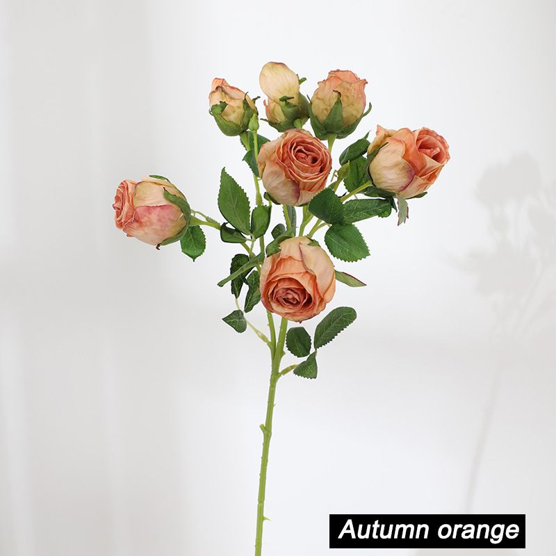 秋のオレンジ