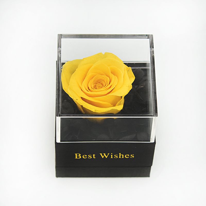 yellow rose