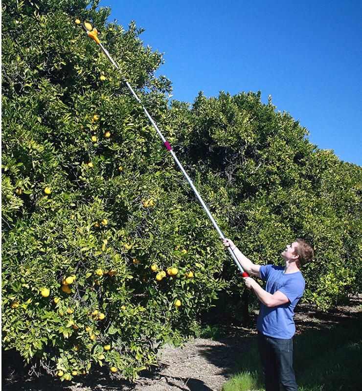 2020 Scalable Fruit Picking Tool Fruit Picker From Genazeng, 28.05