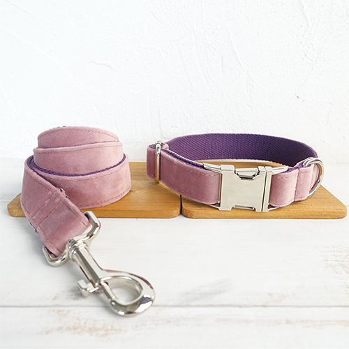 Hundehalsband-Leine-Set