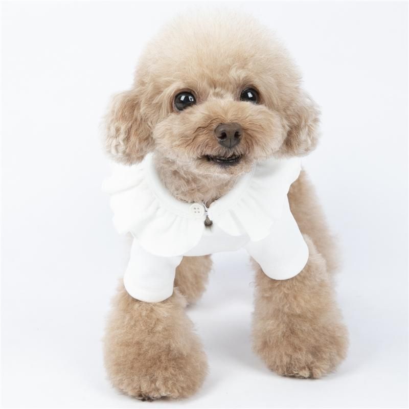 bomba Médula Pegajoso Ropa para perros Pequeñas mascotas Ropa Simple Ingin Chihuahua Toy Poodle  Taza Camisetas