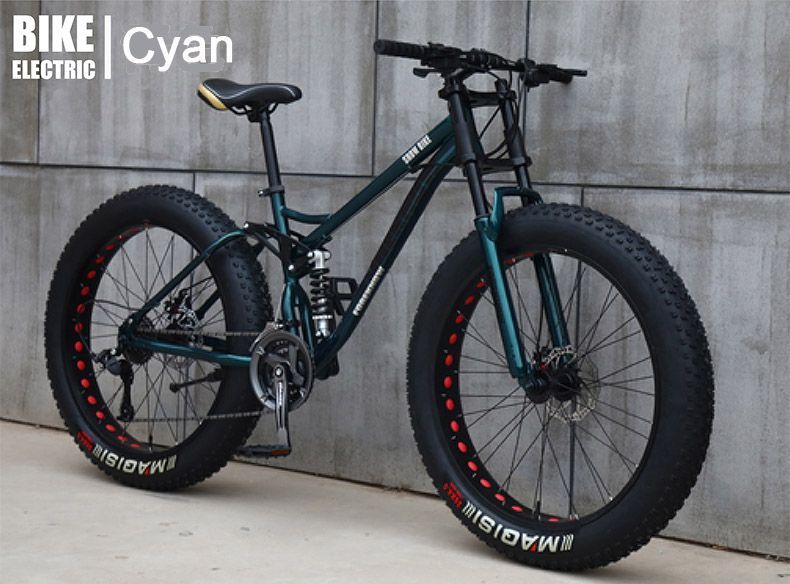 torino fat tire bike