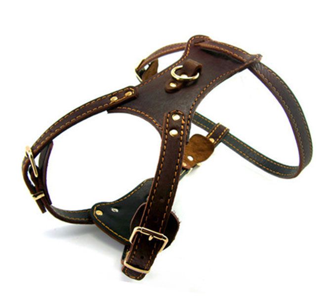 Collar Para Perro Doble Círculo Perros Medianos Y Grandes Collar Para Perro Doble Círculo Perros Medianos Y Grandes