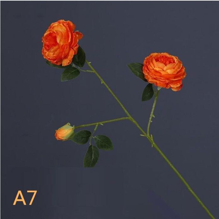 A7