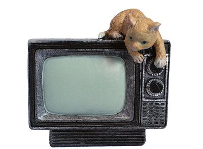 Cat близко TV