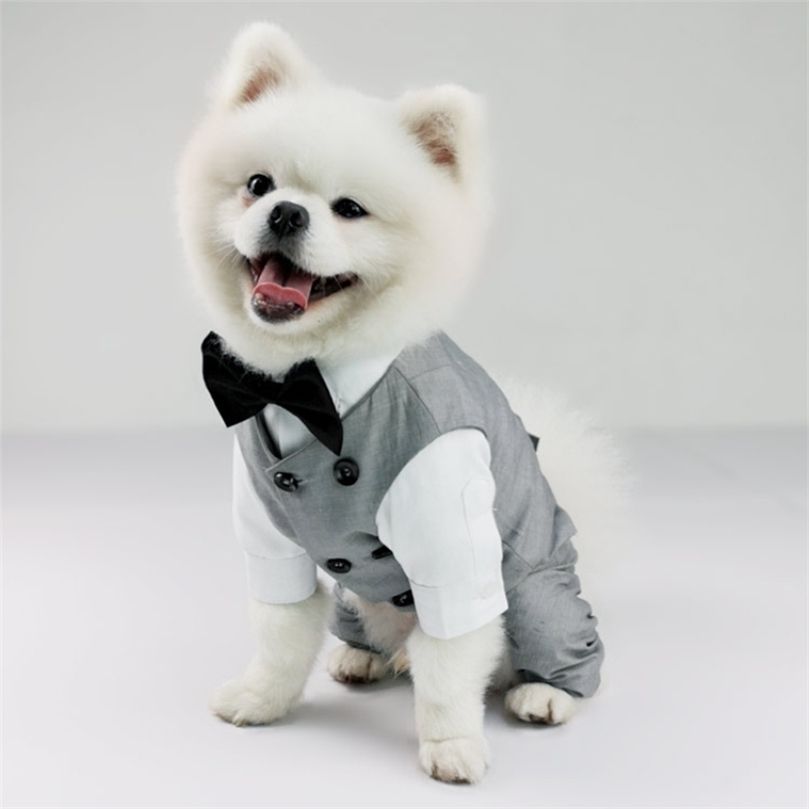 Compre Nino Traje Traje De Boda Chihuahua Yorkie Pomeranian Schnauzer Pug Frances Bulldog Corgi Perro Ropa Mascota Ropa Dropship 1223 A 7 71 Del Cong09 Es Dhgate Com Compre Nino Traje Traje De Boda Chihuahua Yorkie Pomeranian Schnauzer Pug Frances Bulldog Corgi Perro Ropa Mascota Ropa Dropship 1223 A 7 71 Del Cong09 Es Dhgate Com