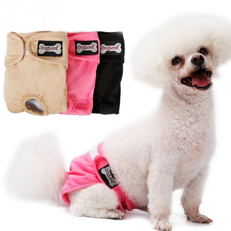Pantalones fisiológicos para perros Pantalones para perros pequeños Perrito Lavable Durable Pañales Diaguernas Ropa
