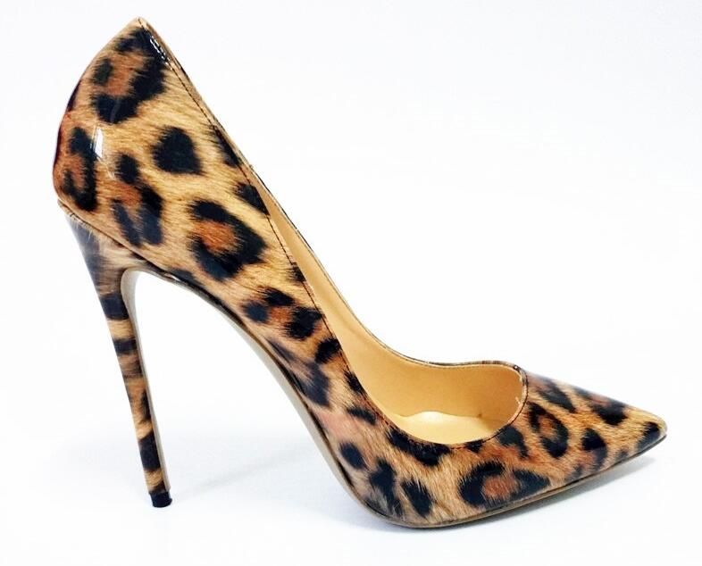 Leopard p