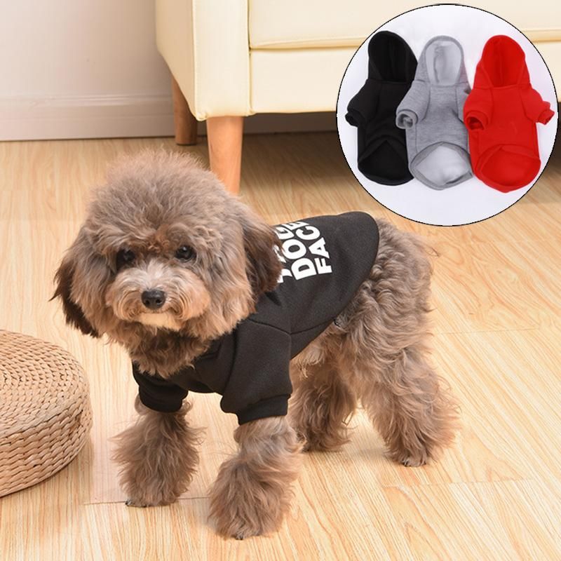 affordable dog clothes