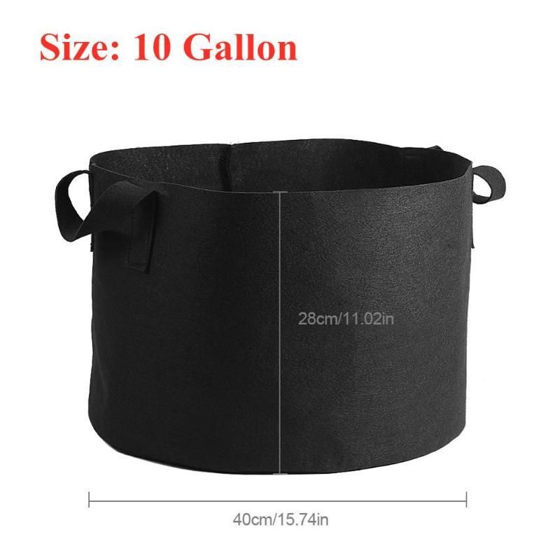 10 gallons
