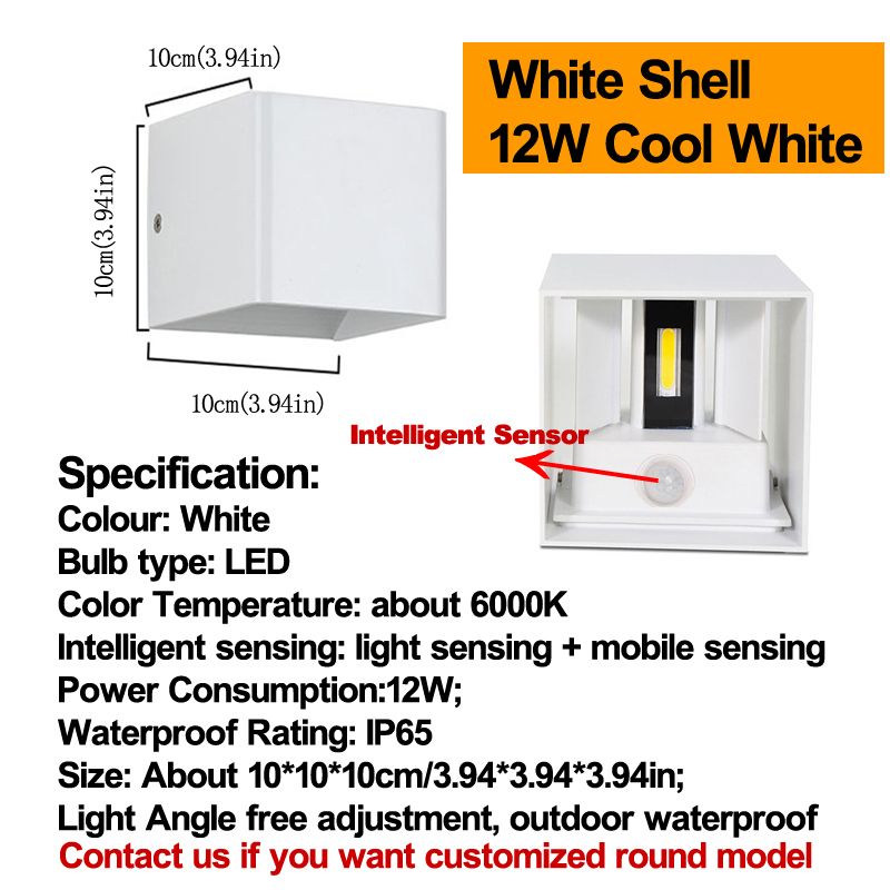 Intelligent Sensor White Cool White 12W