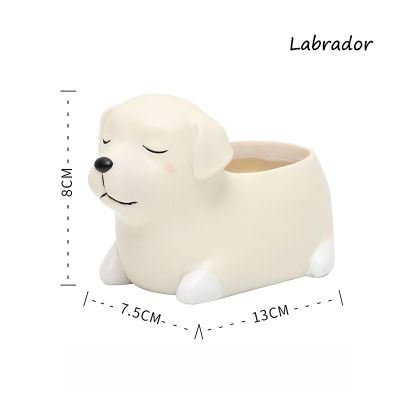 Labrador