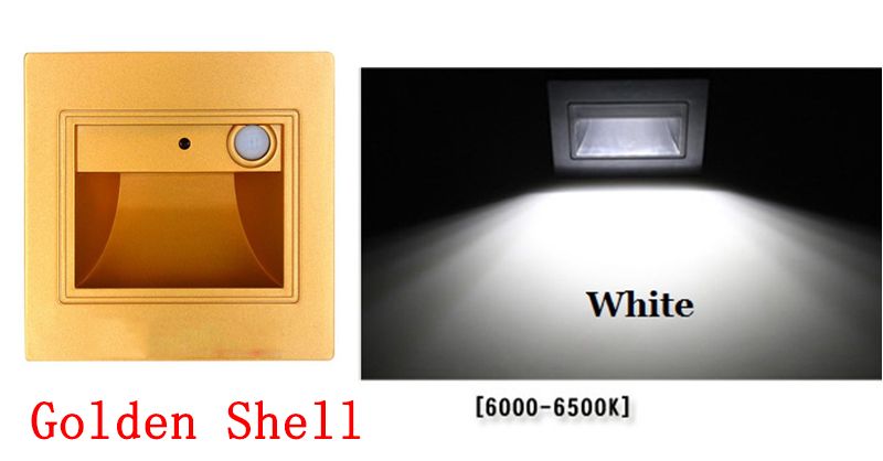 Golden Shell - White Light