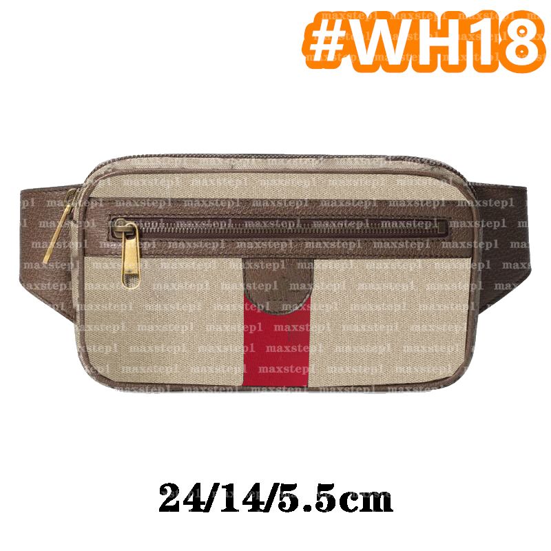 #Wh18 24/14/5.5cm