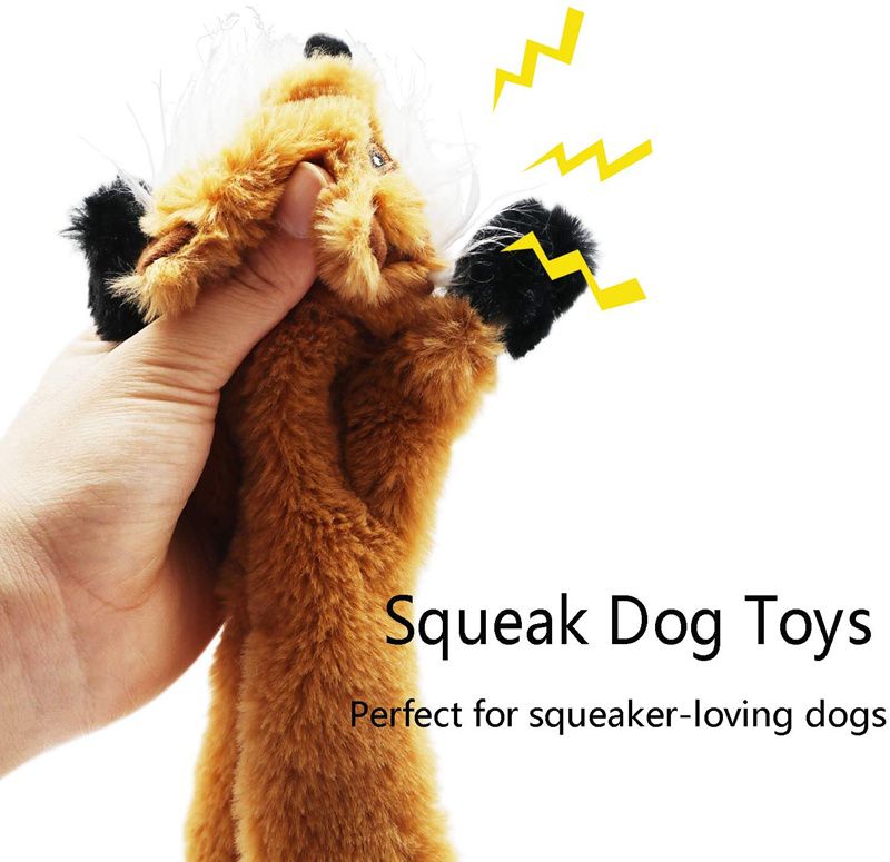 the daily low price Fashion flagship store Absolutely Price to value