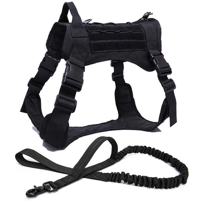 Bk-harness And Leash