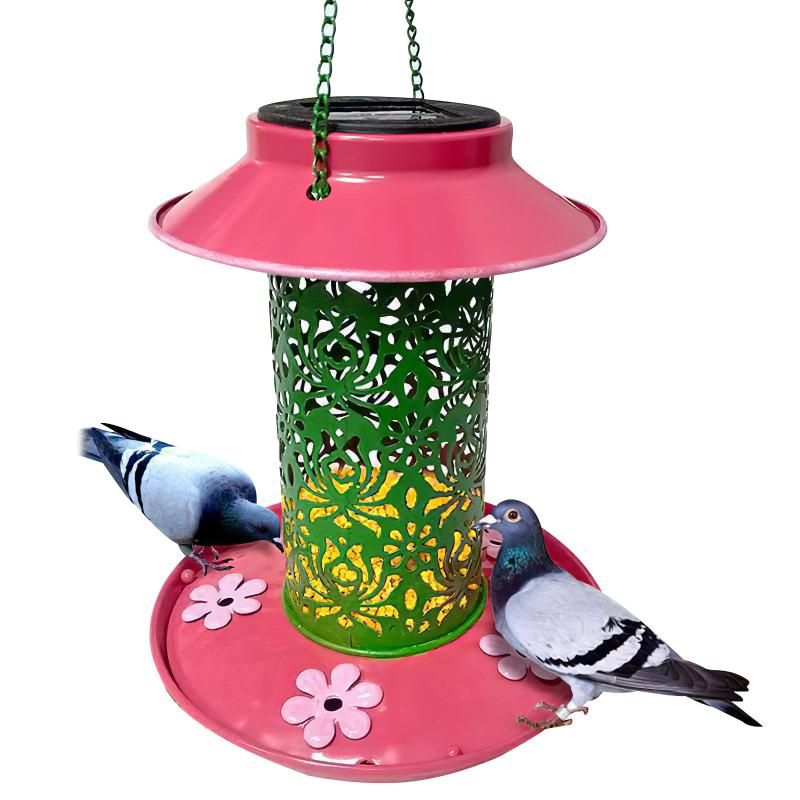 outdoor bird supplies