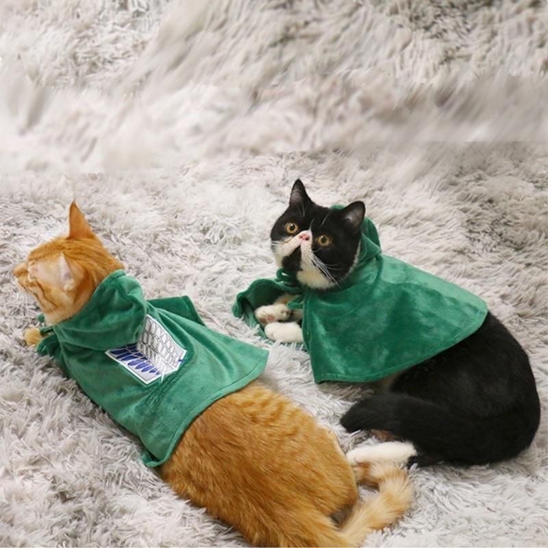 Pet Clothes Autumn and Winter Cat Dog New Sweater Anti-lint Spring and  Autumn Cute Cartoon - AliExpress