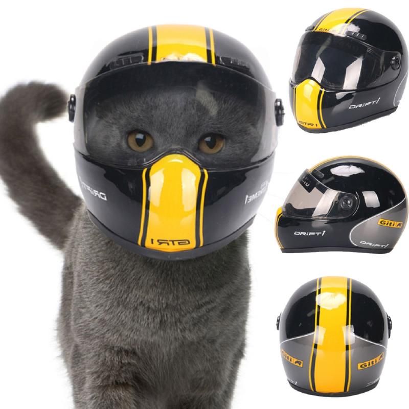 Acquistare Cascolo Cani Bellabbigliamento Cane Bel Casco Cute Cat Cat Cap  Cappello Anti Collisione Lo Styling PO Mini Puntelli Moto Economico |  Consegna Veloce E Qualità | DHgate Italy