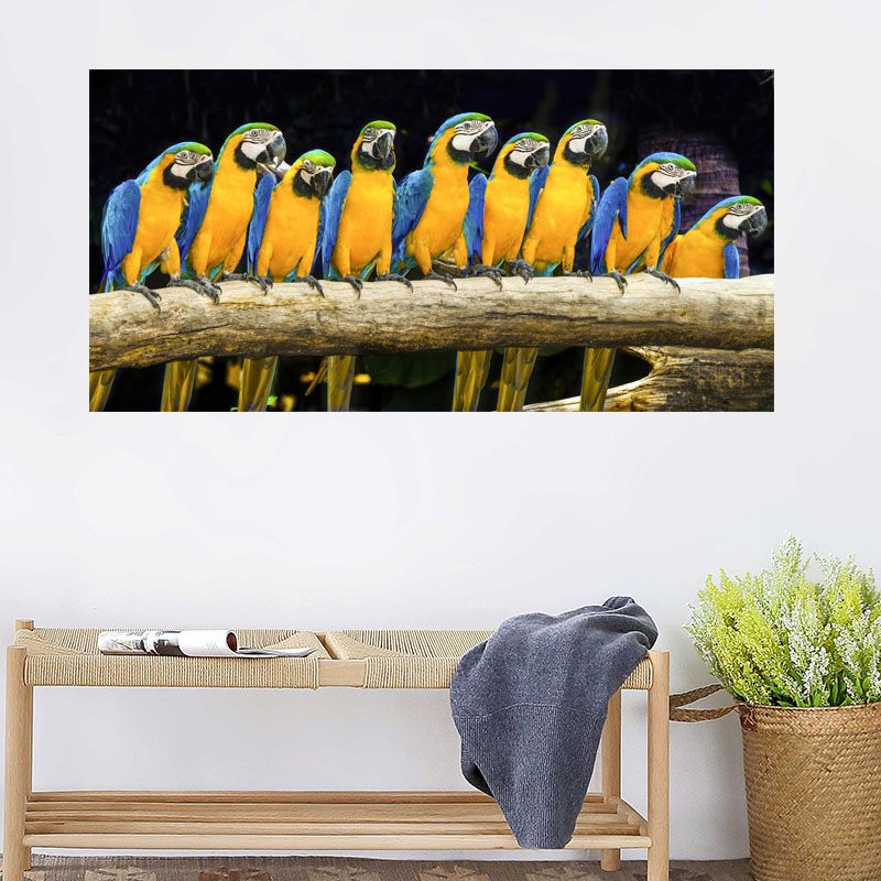 Uccelli pappagallo-1