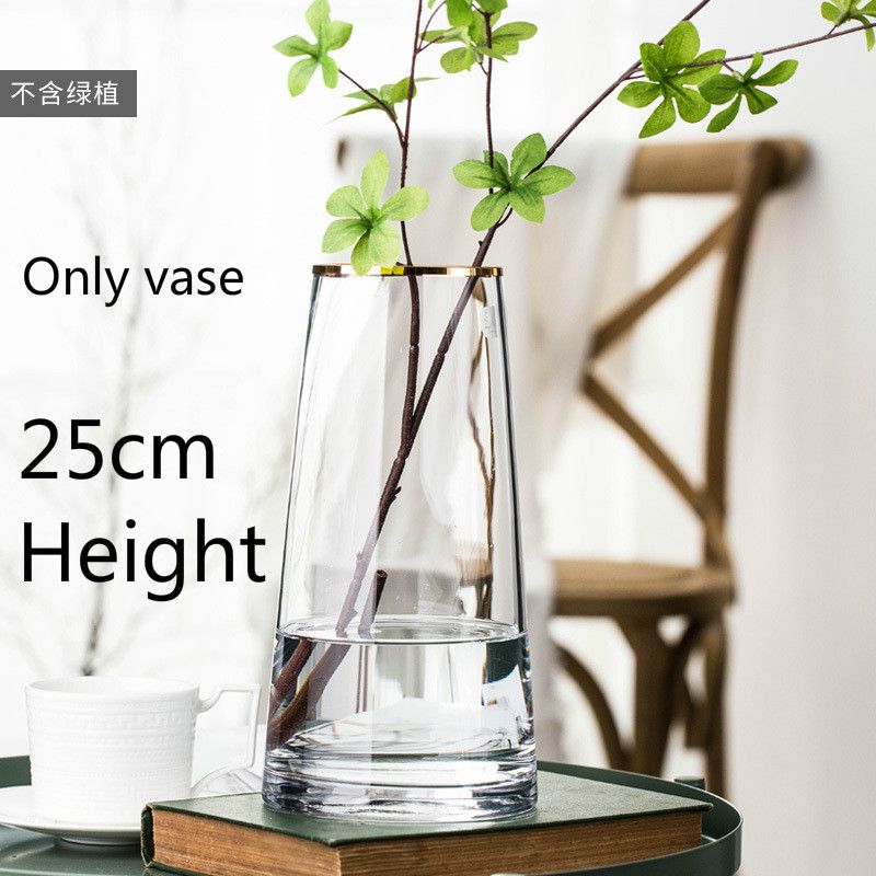 250 Vase Transparent