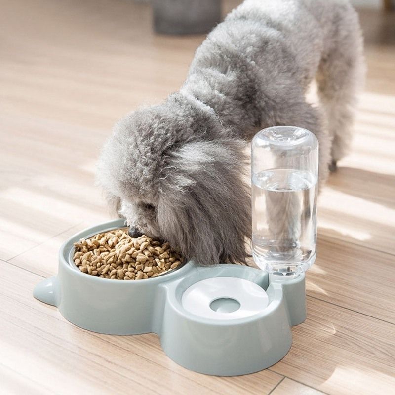 Fuente De Alimentación Automática Para Mascotas Fuente De Alimentación Automática Para Mascotas