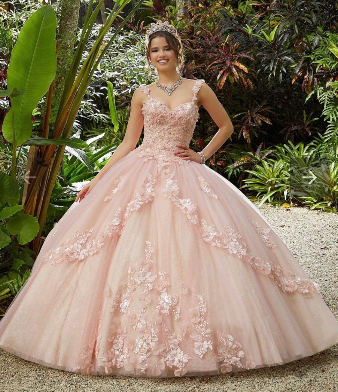 Princess Blush Pink Appliques 
