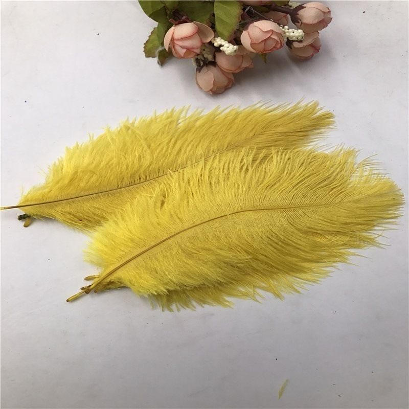 Yellow longo 15-20cm