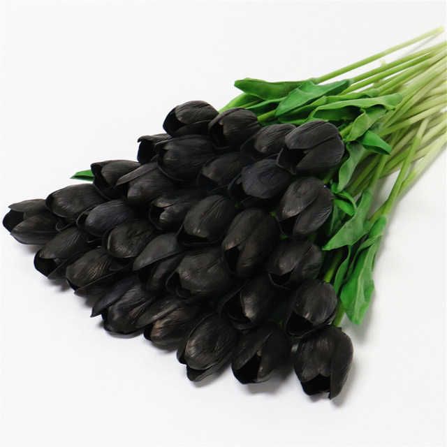 Tulipano nero