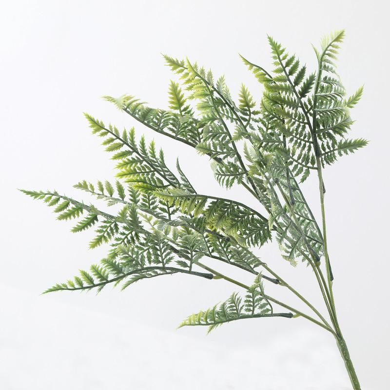 Fern leaf 5