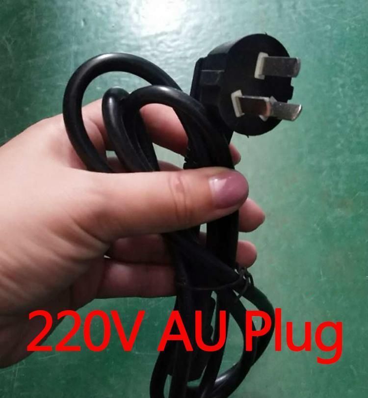 Au-Plug 220V.