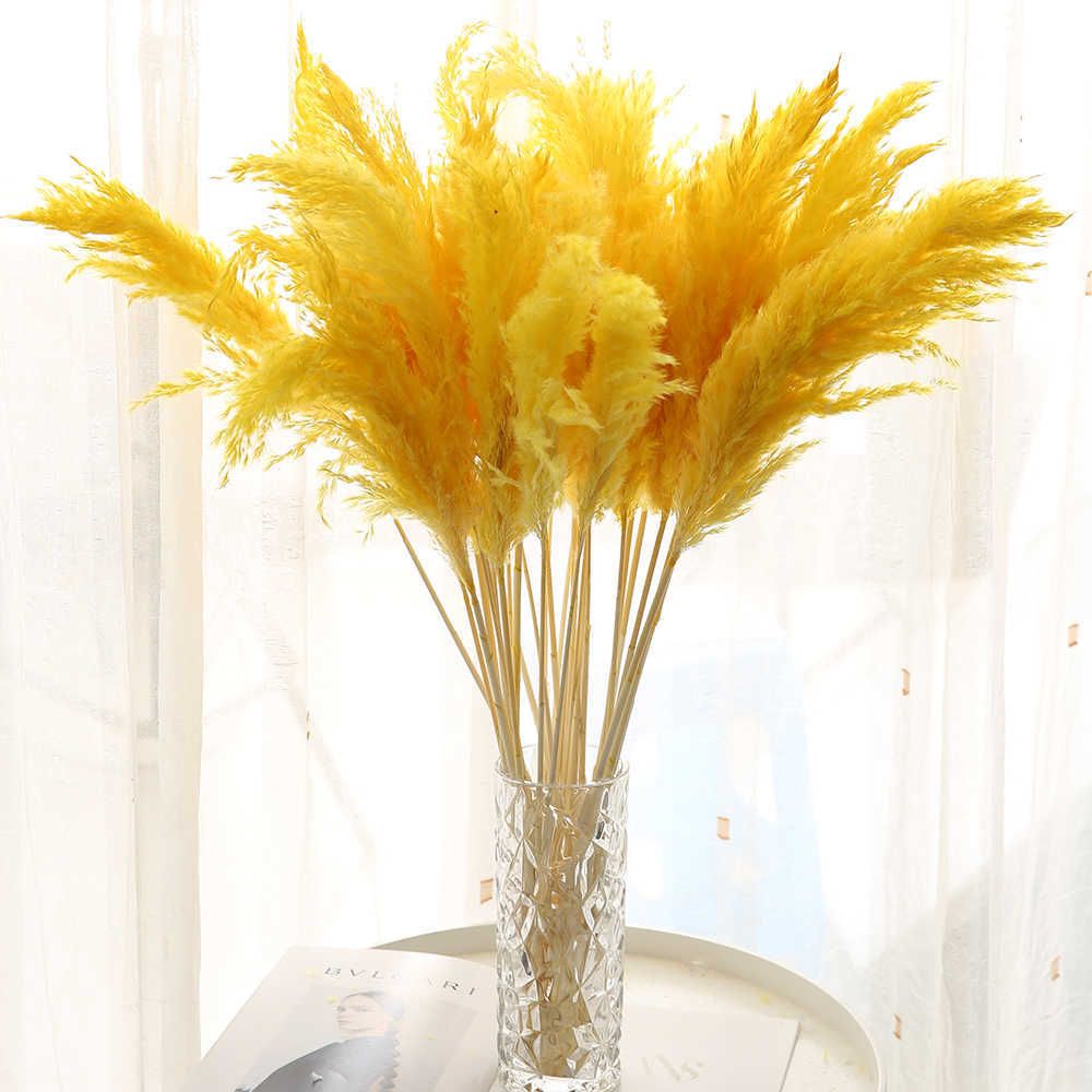 Yellow-5 Pcs