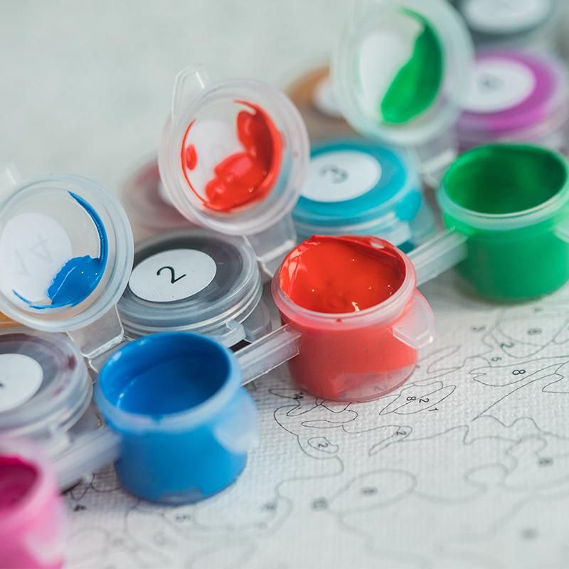 Gatyztory Paint Numbers Kits Adults