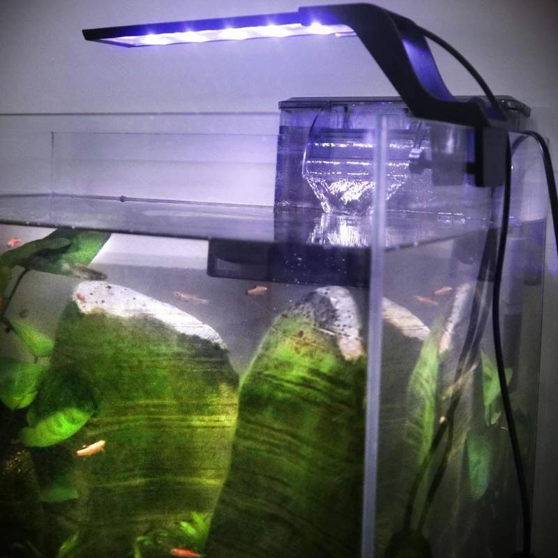 Clip de luz acuario LED de acuarios en de peces con soporte extensible Lámpara