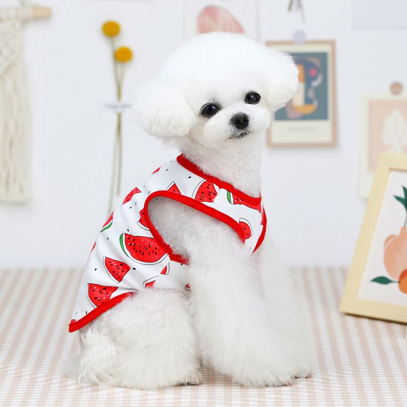 tienda Campo la nieve Ropa para perros camisas de perrito algodón con patrones de frutas Ropa de  perros de verano