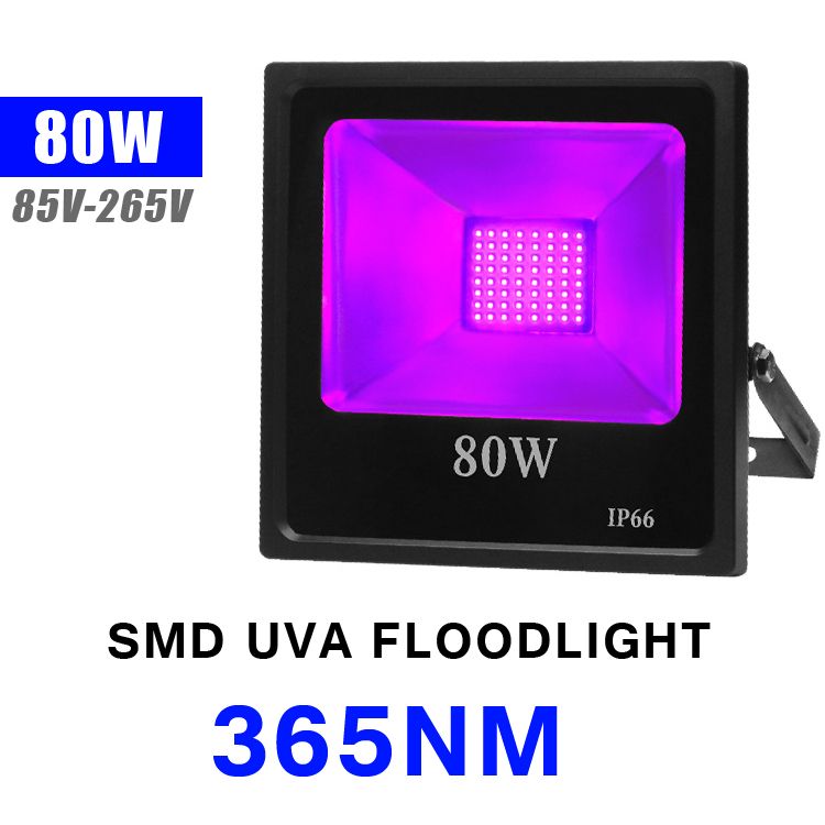 80W UV-365nm 85V-265V 투광 조명