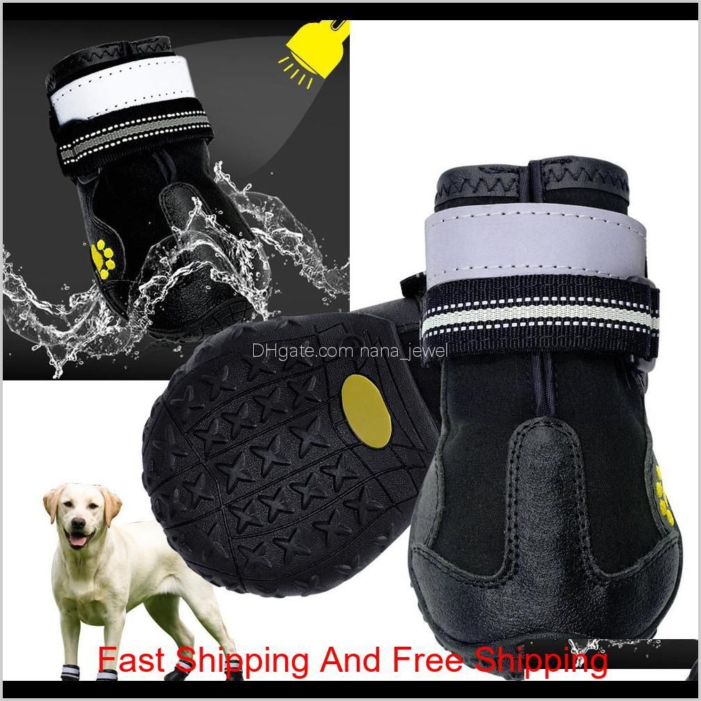 Is It Safe For Dogs To Wear Shoes