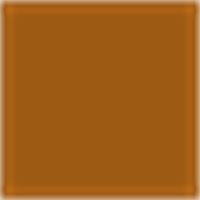 Brown with Flowers Canvas