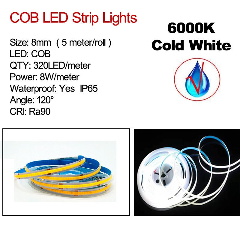 Cool White 6000K