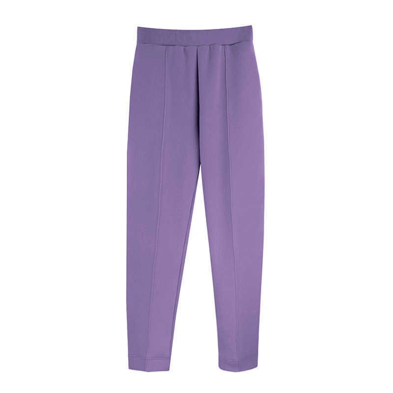 Pants 2-purple