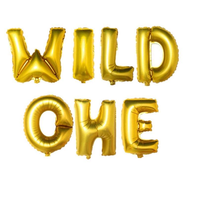 wild one 1