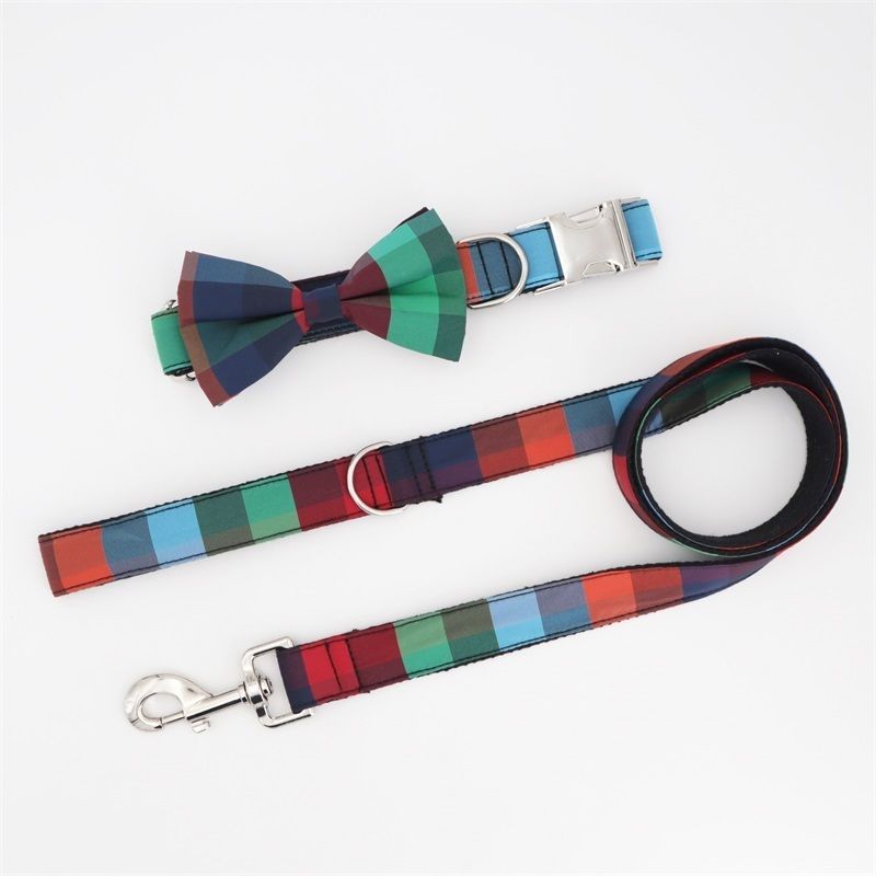 collar bow leash