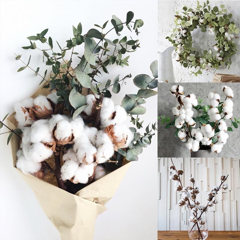 Fleurs de coton naturellement séchées Eucalyptus artificiels feuilles tiges plantes  artificielles branche florale pour la décoration