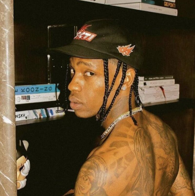 Купить Travis Scott Cacti Кактус TS 