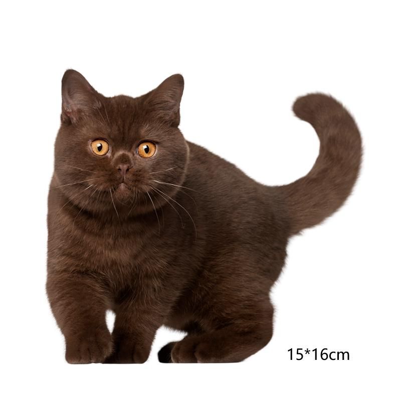 ensacarks for christmas