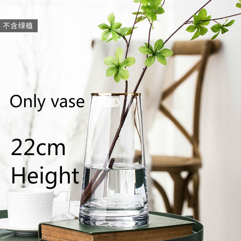 220 Vase transparent