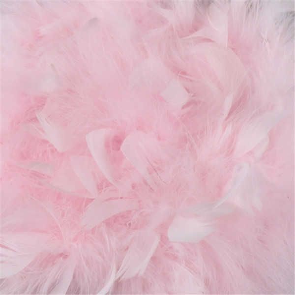 Pink Feather