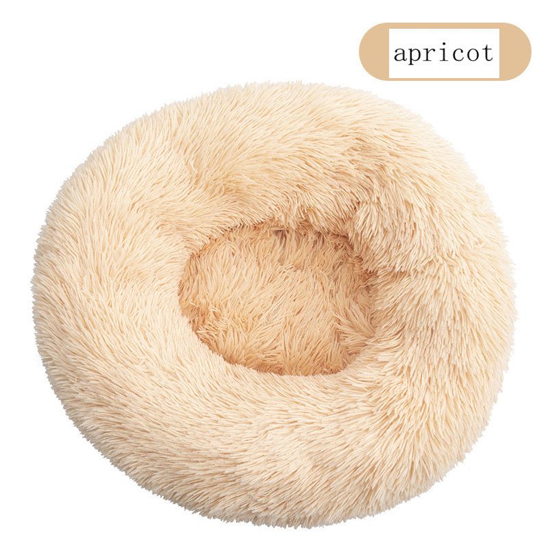 Apricot