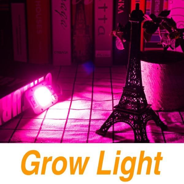 Grow Light